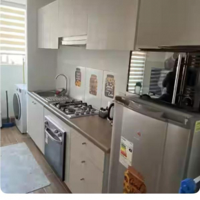 Arriendo apartamento diario